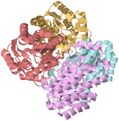 Image Biological Unit 2