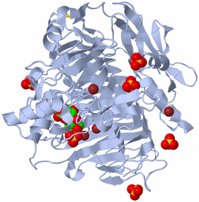 Image Biological Unit 1