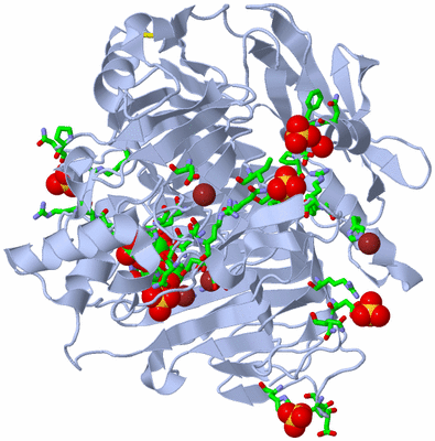 Image Biol. Unit 1 - sites