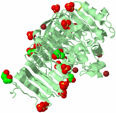 Image Biological Unit 2