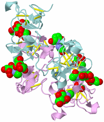 Image Biological Unit 2