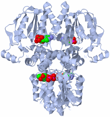 Image Biological Unit 1