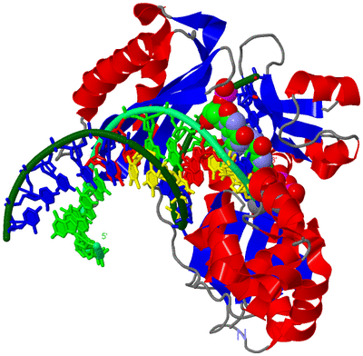 Image Asym./Biol. Unit