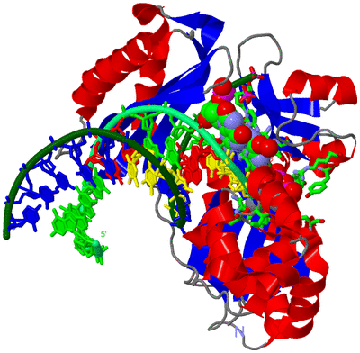 Image Asym./Biol. Unit - sites