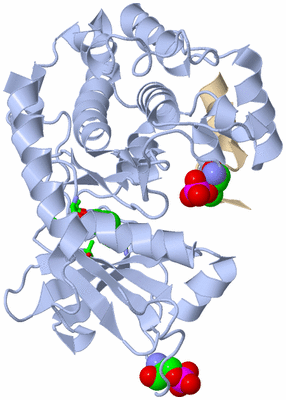 Image Asym./Biol. Unit - sites