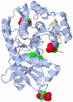 Image Asym./Biol. Unit