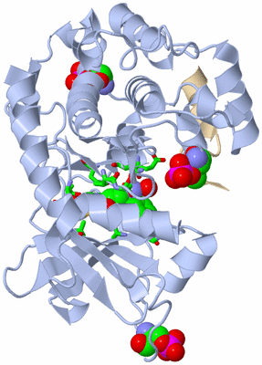 Image Asym./Biol. Unit - sites