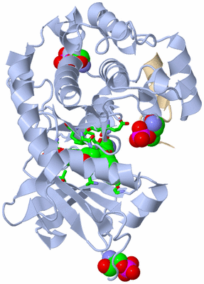 Image Asym./Biol. Unit - sites