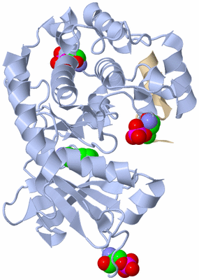 Image Asym./Biol. Unit