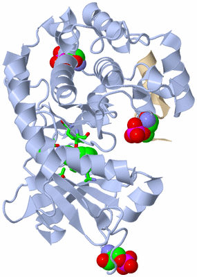 Image Asym./Biol. Unit - sites