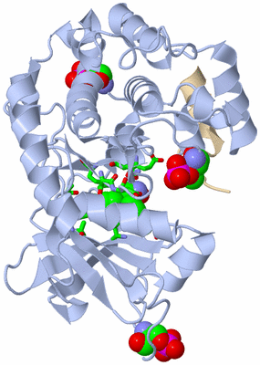 Image Asym./Biol. Unit - sites