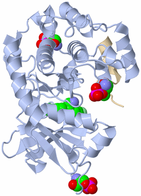 Image Asym./Biol. Unit