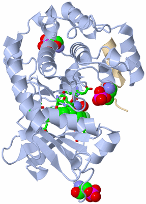 Image Asym./Biol. Unit - sites