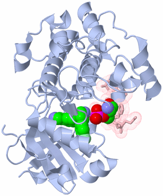 Image Asym./Biol. Unit