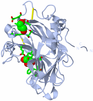 Image Biol. Unit 1 - sites