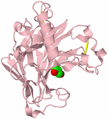 Image Biological Unit 3