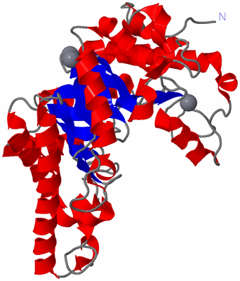 Image Asym./Biol. Unit