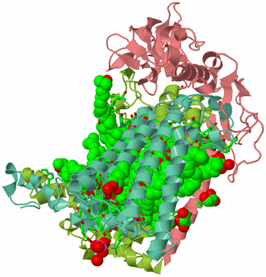 Image Asym./Biol. Unit - sites