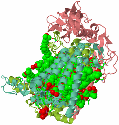 Image Asym./Biol. Unit - sites