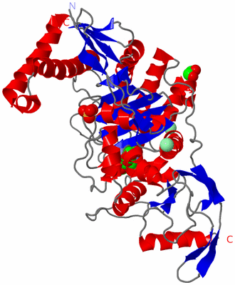 Image Asym./Biol. Unit