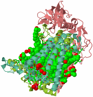 Image Asym./Biol. Unit - sites