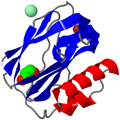 Image Asym./Biol. Unit