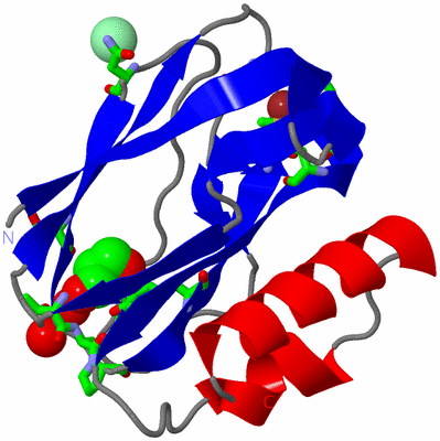 Image Asym./Biol. Unit - sites