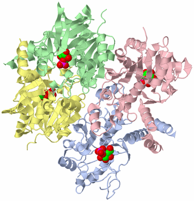 Image Biological Unit 1
