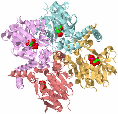 Image Biological Unit 2