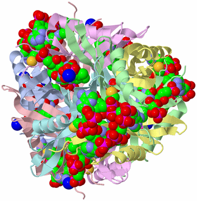 Image Biological Unit 1