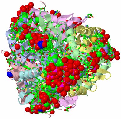 Image Biol. Unit 1 - sites