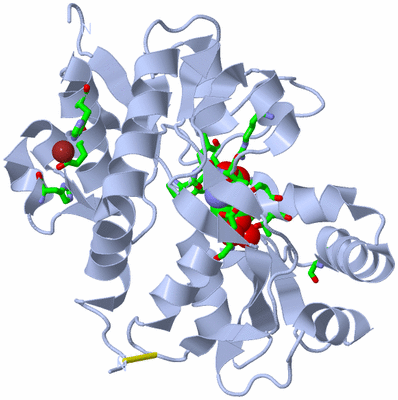 Image Biol. Unit 1 - sites