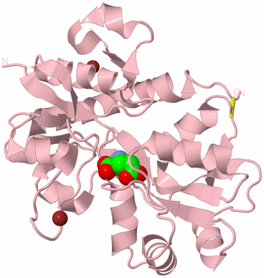 Image Biological Unit 3