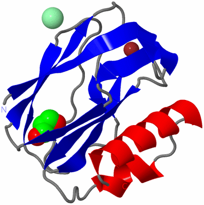 Image Asym./Biol. Unit