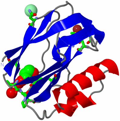 Image Asym./Biol. Unit - sites