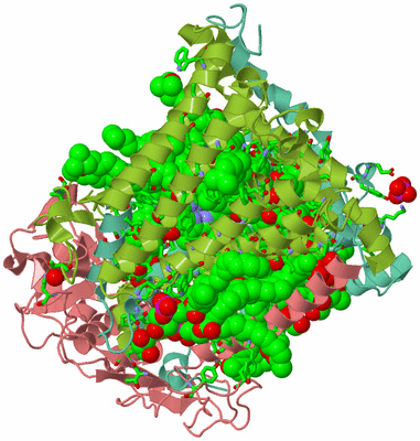 Image Asym./Biol. Unit - sites