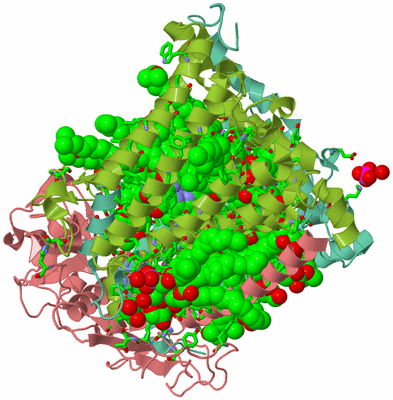 Image Asym./Biol. Unit - sites