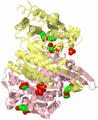 Image Biological Unit 2