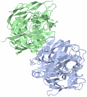 Image Asymmetric Unit