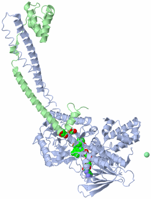 Image Asym./Biol. Unit