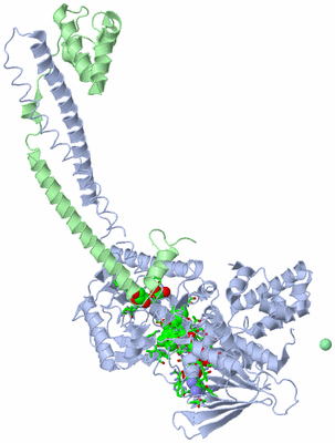 Image Asym./Biol. Unit - sites