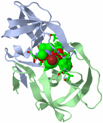 Image Asym./Biol. Unit - sites