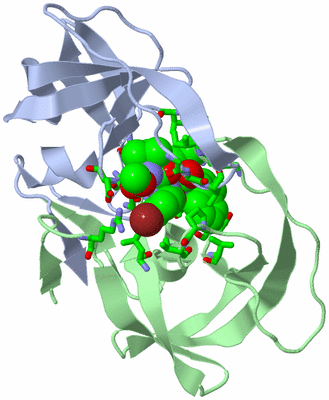 Image Asym./Biol. Unit - sites