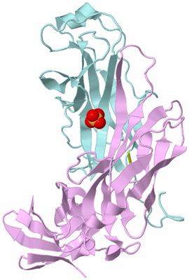 Image Biological Unit 3