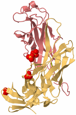 Image Biological Unit 4