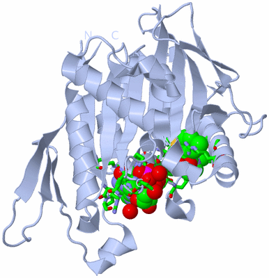 Image Biol. Unit 1 - sites