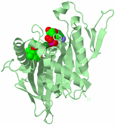 Image Biological Unit 2