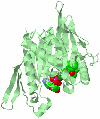 Image Biological Unit 2