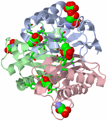 Image Asym./Biol. Unit - sites