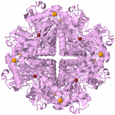 Image Biological Unit 2